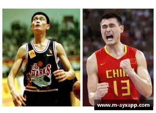 艾德NBA：巅峰球星与传奇历程