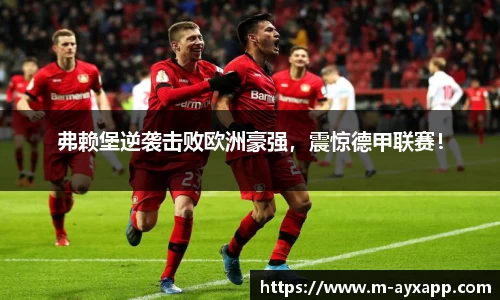 爱游戏体育官网