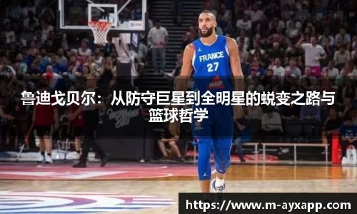 爱游戏体育官网
